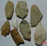DSC03503a.webp