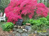 100_1295.webp