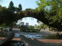 DSCF0300.webp
