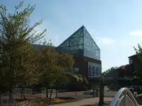 DSCF0303.webp