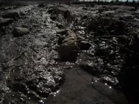 in-situ1.webp