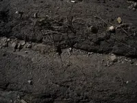in-situ2.webp