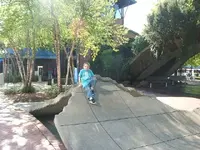 DSCF0306.webp