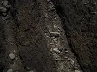 in-situ6.webp