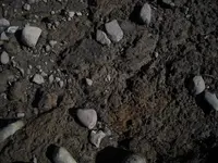 in-situ7.webp