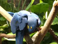 DSCF0312.webp