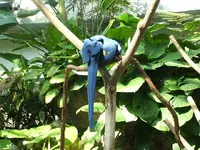 DSCF0313.webp