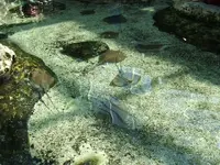 DSCF0314.webp