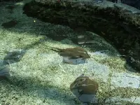DSCF0315.webp