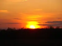 DSC02395.webp
