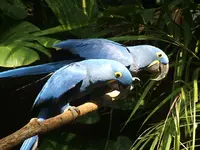 DSCF0317.webp