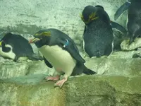 DSCF0320.webp