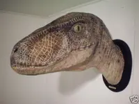 velociraptor%201 (Medium).webp