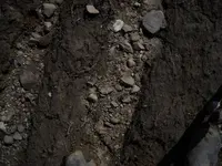 in-situ11.webp