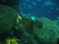 DSCF0322.webp