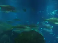 DSCF0323.webp