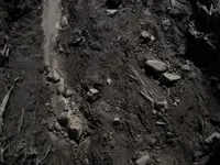 in-situ12.webp