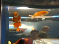 DSCF0335.webp