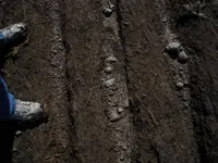 in-situ14.webp