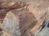 stone woody.webp
