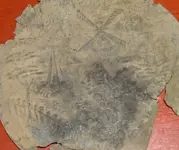 plate2.webp