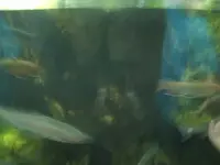 DSCF0342.webp