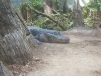 DSCF0347.webp