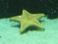 DSCF0349.webp