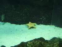 DSCF0350.webp
