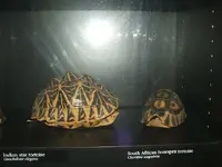 DSCF0353.webp