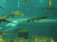 DSCF0355.webp