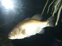 DSCF0356.webp