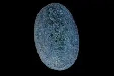 strange pewter button 5 inverted.webp