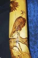 eagles.webp