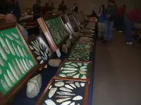 collinsville show 027.webp