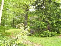 DSC00016.webp