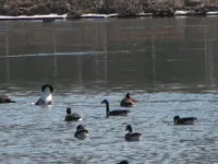 canal 026.webp