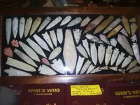 collinsville show 041.webp