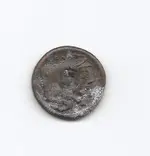 ceaae coin.webp