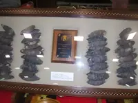 collinsville show 060.webp
