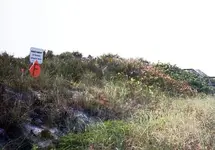 beachmarker F.webp