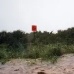 beachmarker G.webp