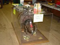 DSC00060.webp