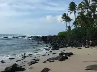 Hawai\'i 03-09 folder#2 098comp.webp