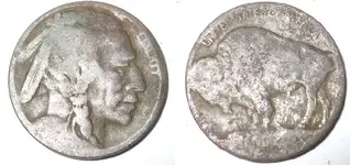 1stbuffalo.webp