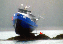 shiptide.gif