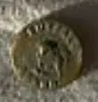 buffalo brand button.webp