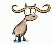 OX.gif