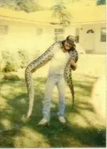 12 ft, 80lbs, 6yrs old Python #2.webp