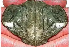 Untitled.webp